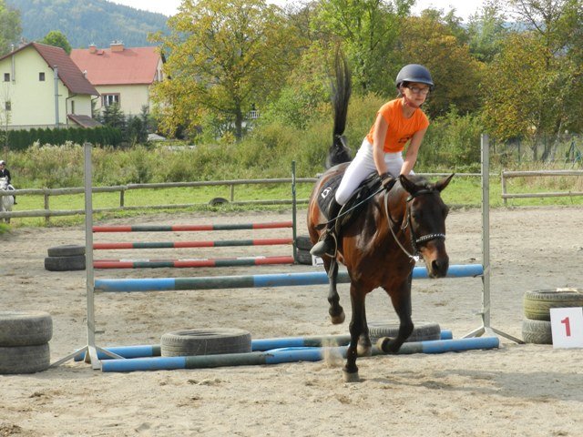 Babie Lato 2016